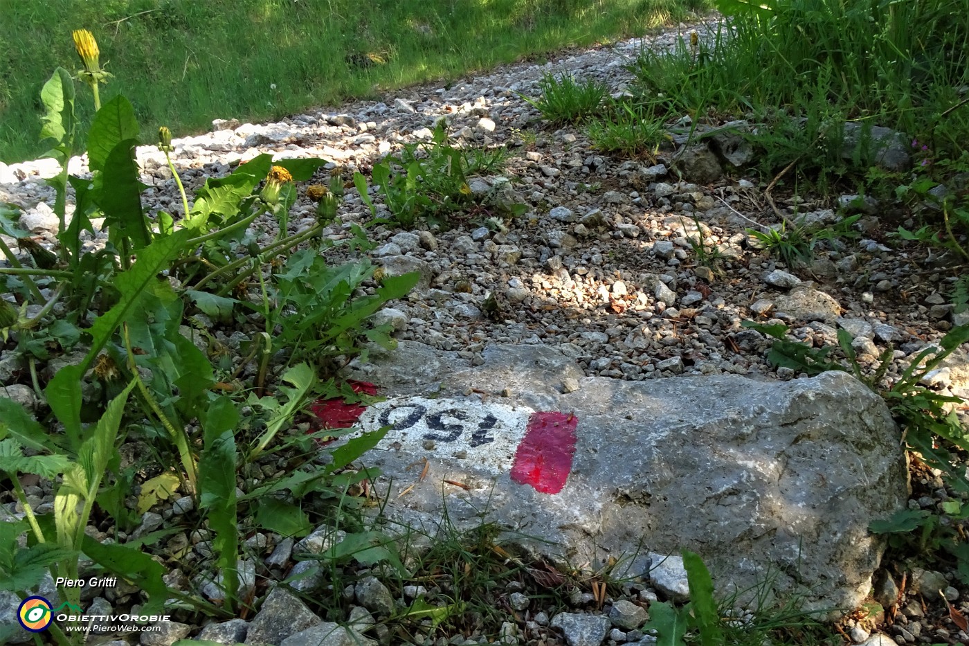 13 Bollo sent. 150 in uscita dal bosco sulla sterrata agrosilvopastorale.JPG